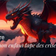 gérer la colère gestion de la colère