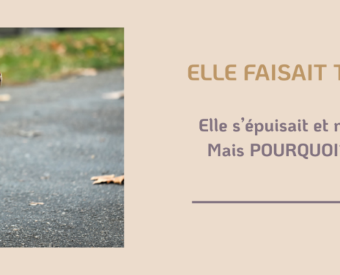 fatigue professionelle